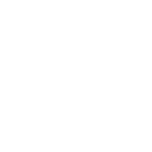 Everest Group